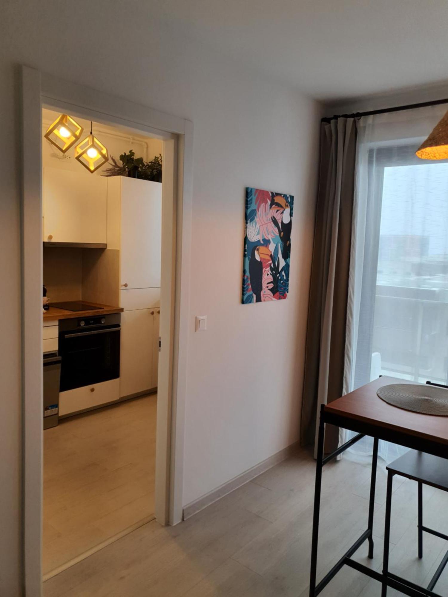 Premium Hils Brauner Studio Bukarest Exteriör bild
