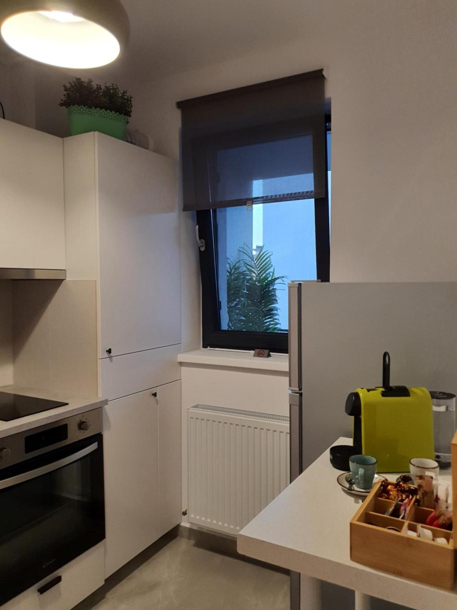 Premium Hils Brauner Studio Bukarest Exteriör bild